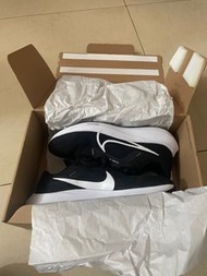 Air zoom pegasus 40