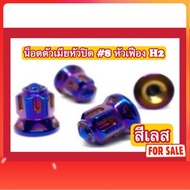 (Stainless Steel Color Not Image Color) Female Nut 8 Gear Head H2