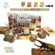[Wildland] Beetle Jelly 30Pcs/Pack Natural Formula Latest Expiration Date Insect Jelly Jelly Unicorn