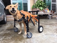 วีลแชร์สุนัข พิการขาหน้า  ขนาดไซส์ M. สัตว์เลี้ยง รถเข็น wheelchair dog **ติดต่อร้านค้าก่อนสั่งซื้อ**โดยสัตวแพทย์