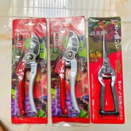 Tree branch cutting shears, combo of 2 V9 scissors and white steel branch pruning shears