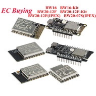 BW16-Kit RTL8720DN BW16 BW20-12F-Kit BW20 BW20-07S RTL8711 Dual-band WiFi Bluetooth BLE 5.0 Wireless