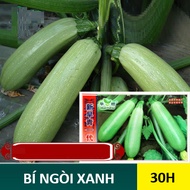 Green Zucchini Seeds (30H)