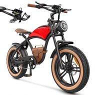 Hidoes 1000W Electric Bike, 20"X4" Fat Tire Cruiser Electric Bike, 48V 13Ah Battery, Long Range 40 M