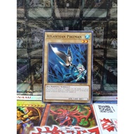 [ Peanut ] Yugioh AE CXyz N.As.Ch Cards. Knight (N)