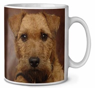 Terrier Dog Coffee/Tea Mug Christmas Stocking Filler Gift Idea