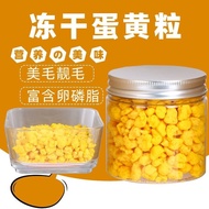 Parrot Snacks Freeze-Dried Egg Yolk Cockatiel Budgerigar Training Reward Weight Gain High Protein Nu