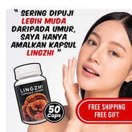 Kapsul Lingzhi Original Kapsul Lingzhi Cendawan Lingzhi Bio-Lingzhi