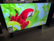 💥特平$3800 (原價$13980) LG 50吋 50QNED80ACA 4K QNED 短暫陳列有保養香港行貨