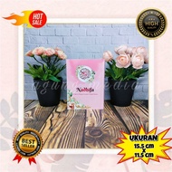 Quran Nadhifa HARD COVER A6, Small Quran with Translation, Quran Memorization, Easy Tajweed Quran, M