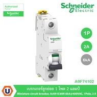Schneider Electric A9F74102 Sub-circuit breaker 1 Pole 2 Amps Miniature circuit-breaker Acti9 iC60N 