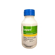 Loyant 500ml Corteva / Racun Rumpai Padi