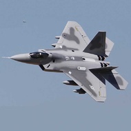 Large Fixed Wing Aircraft Remote Control F22 Raptor Fighter 2.4G Remote Control Concentration Aircra