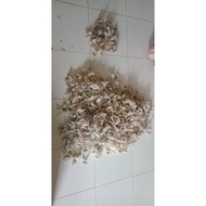 Promo sarang walet asli berat 1 kg campur Limited