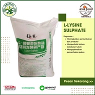 Amino Acid Lysine/ L-Lysine Sulphate Best Amino/ Animal Vitamin Supplement