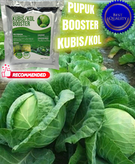 Murah pupuk booster kubis/kol pupuk penyubur tanaman kubis pupuk organik cair tanaman kubis pupuk NPK cair extra rice top pupuk cair penyubur akar daun tanaman kubis pupuk perangsang kubis pupuk cair top grow murah pupuk booster turbo pemanis non kimia pe