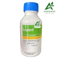 Dow AgroScience Loyant Racun Rumput Padi Sambau Keladi Agas Cabai Kera Dan Lain 500ml