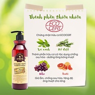 Sữa tắm cho chó Budle'Budle Ecoland General Shampoo | Dầu gội và xả cho chó 100% thiên nhiên | Da sạ