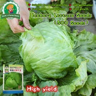 500pcs Hydroponics Iceberg Lettuce Seeds for Planting Super Ball Variety Iceberg Lettuce Vegetable S
