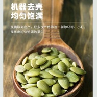 Xinjiang raw Pumpkin Seeds original snacks Pumpkin Seeds Pumpkin Seeds Large Granules Extra Large Wh