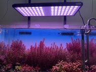 Netlea NL6105p AT5 尼特利 aquarium light + free stand