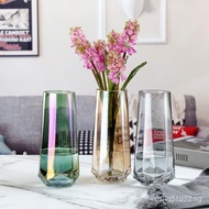 Nordic Fresh GlassinsWind Vase Decoration Electroplating Gold Drawing Living Room Creative Simple Vase