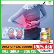 Acute, Chronic Leaky Kidney Medicine - High Creatinine Lowering - Sindrom Nefrotic Herbal QnC Jelly 