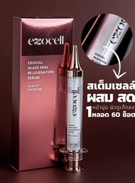 Exocell ครีม ช็อต สเต็มเซลล์สด glass skin rejuvenation rerum [ cream ]