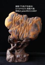 【山奇藝術】臺灣 龜甲石 帶皮黃龜甲石 雅石 奇石 觀賞石