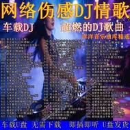 音乐 优盘  歌曲 USB Songs 网络伤感情歌流行dj歌曲网红歌曲高品中文DJ车载u盘音乐优盘 05.25