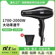 Yoshi Hair Dryer Hair Stylist Barber Shop Wholesale Household Hair Daigou High Hair Dryer Hair Salon