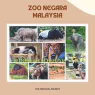 Malaysia Postcard - National Zoo of Malaysia | Zoo Negara