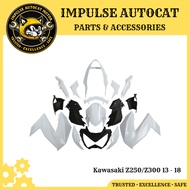 Kawasaki Z250 Z300 Full Set Fairing Kit Cover Set | Z250 Z300 Cover Set  2013 - 2018 | Z250 Z300 Cov