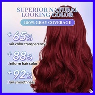 Hair Color Cream Hair Dye Brown Coffee Burgundy Red Gold Silver Color Dye Cream