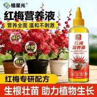 2.3 Readystock Red Plum Nutrition Liquid Hydroponic Plant Potted Plant Nutrition Flower Anti-Yellow 