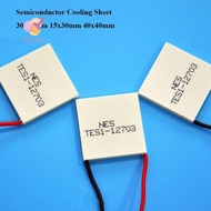 REPKG Semiconductor Cooling Sheet, 30x30mm 15x30mm Refrigeration Plate,  5 Styles TEC1-12702 TES1-07