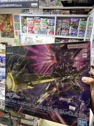 MG destiny gundam spec ii & zeus silhouette