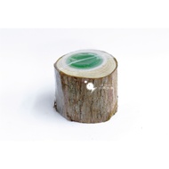 Xiaoguo Aquarium-Beetle Area [Single Hole Jelly Table (With Jelly)] Unicorn Pocket Insect Stag Beetl