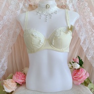 Japan Bra Size : D70 Japanese NWT