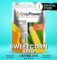 (500 GRAM) Biji Benih Jagung Manis Big Sweet 甜大棒  SC832 CROP POWER F1 HYBRID Sweetcorn Seed 甜玉米种子 SC