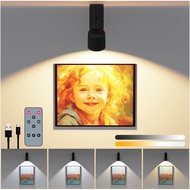 LED Ceiling Picture Lights with 6000mAH Rechargeable Battery Powered, Cordless Painting Wall Lamps S