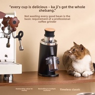 DF54P Professional Electric Coffee Grinder | Flat Burr, Single Dose, SOE & Pour Over Optimized