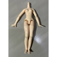 Body doll bjd 1/6 body azone kw (minor defect)