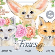 Watercolor foxes clipart - red fox, arctic fox, fennec PNG