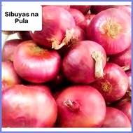 ✙ ✴ ◺ RED ONION/Sibuyas na Pula/Pulang Sibuyas250 grams,500grams,1 kilo Fresh Gulay (SHIP OUT AGAD)