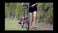 【全新】林寶堅尼20"單車 (可摺合) Tonino Lamborghini Biking