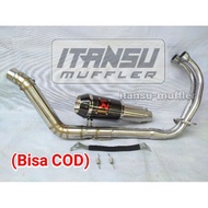Akrapovic Racingknalpot Ninja 250 Fi Carbu R25 Mt25 CBR 250rr