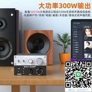 擴大機功放機家用音響大功率hifi發燒數字小型純后級重低音炮功率放大器