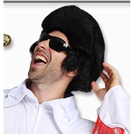 [Yangyang Sketch Elvis Wig/Elvis Styling Wig] Halloween Christmas Costume Masquerade Party Props Tai