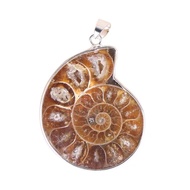1pc Natural Stones Pendants Ammonite Seashell Snail Ocean Reliquiae Conch Charms Jewelry Making DIY